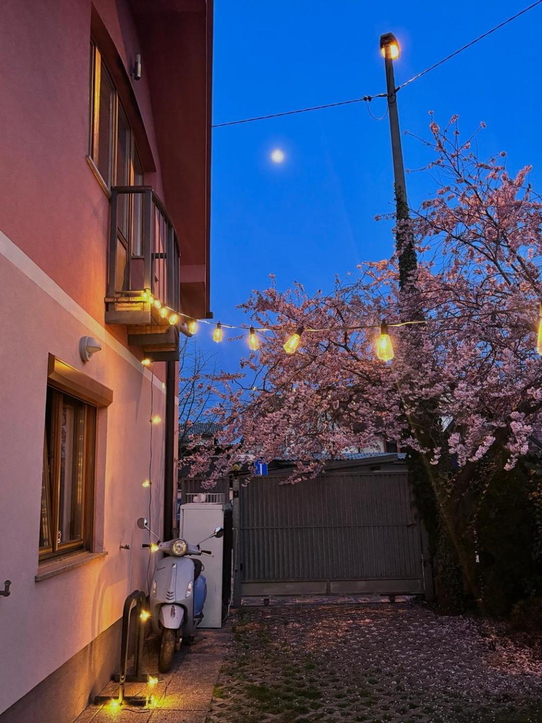 Auberge de jeunesse Buzahouse à Ljubljana Extérieur photo
